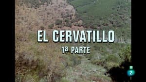 Episodio 19