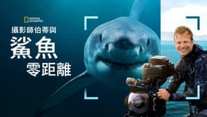 Tiburones De Cerca Con Bertie Gregory — foto 10