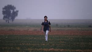 על כלבים ואנשים — foto 3