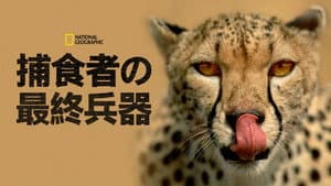 Deadly Instincts — foto 11
