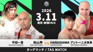 DDT All or Nothing 2026 — foto 4
