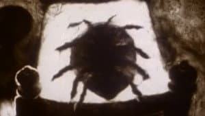 The Metamorphosis of Mr. Samsa — foto 2