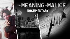 The Meaning of Malice — foto 1