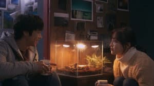 메이트 — foto 4