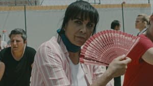 Episodio 17