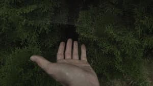 las-líneas-de-mi-mano — foto 1