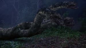 Hydra — foto 1