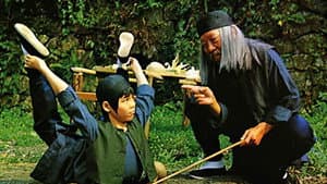 睡拳怪招 — foto 2