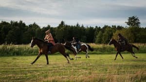The Gaelic King — foto 6