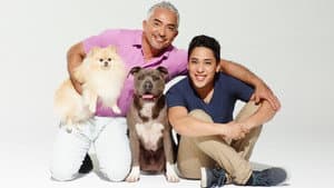 Cesar Millan's Dog Nation — foto 1