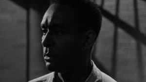 Native Son — foto 5