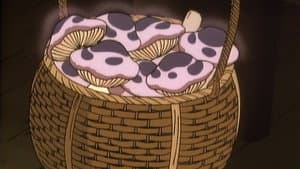 Episodio 71