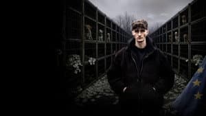 How to kill a puppy and get rich - Die Hunde Mafia — foto 1