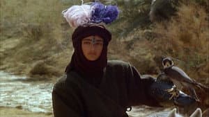 طوق الحمامة المفقود — foto 2