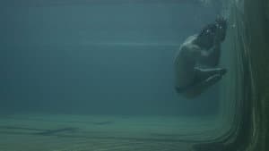 Diving In — foto 1