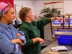 Episodio 8