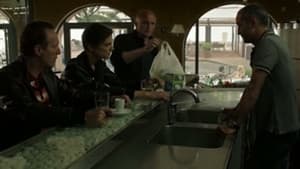 Episodio 7