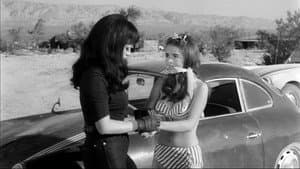 Faster, Pussycat! Kill! Kill! — foto 11