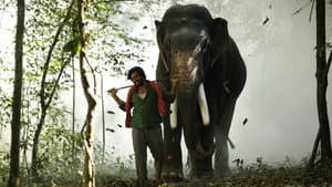 காடன் — foto 5