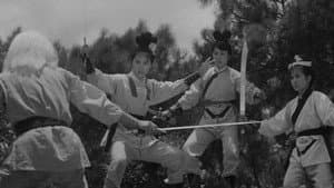 三鳳震武林 — foto 1
