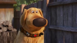 La cita de Carl — foto 9