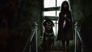 Madhouse — foto 3