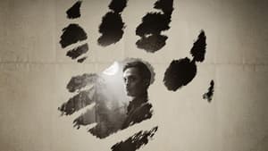 Hombre Lobo por la noche — foto 1