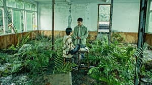 海边升起一座悬崖 — foto 6