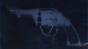 Operation Undercover: Guns & Drugs in Carolina — foto 2
