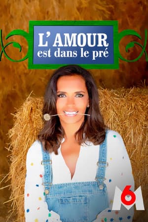Temporada 8