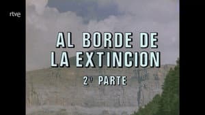 Episodio 82
