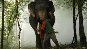 காடன் — foto 3