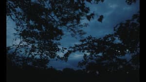 Everything In This World Is Exactly What It Is — foto 6