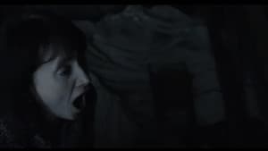 Bats — foto 1