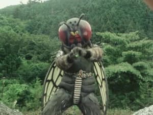 Episodio 29