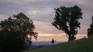 Schwarz Weiss Bunt — foto 1