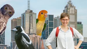 The Secret Lives of Our Urban Birds — foto 1