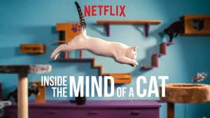 En la mente de un gato — foto 4