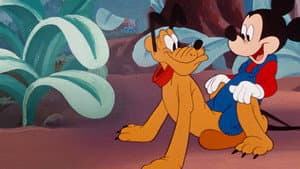 Mickey Down Under — foto 5
