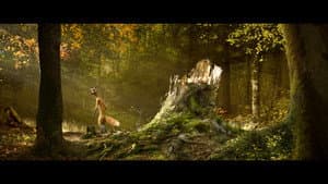 Le Renard et l'Oiselle — foto 2