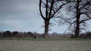 Not Far from the Tree — foto 1