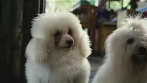 มะหมา 2 — foto 2