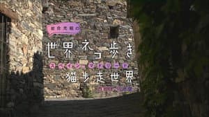 Episodio 28