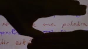 Crías — foto 1