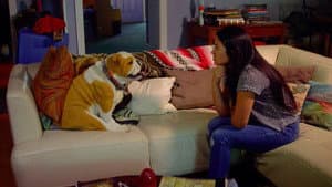 Sam and Elvis — foto 5