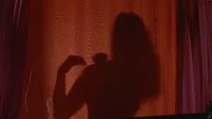 Sangre Caliente — foto 1