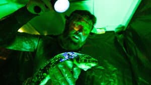 Alien Sharks: Strange New Worlds — foto 1