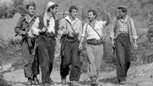 Çeta e vogël — foto 2