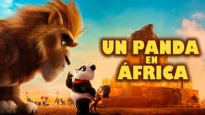 Un panda en África — foto 3