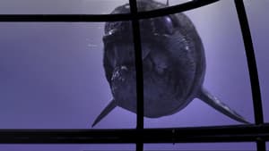 Sea Monsters — foto 4
